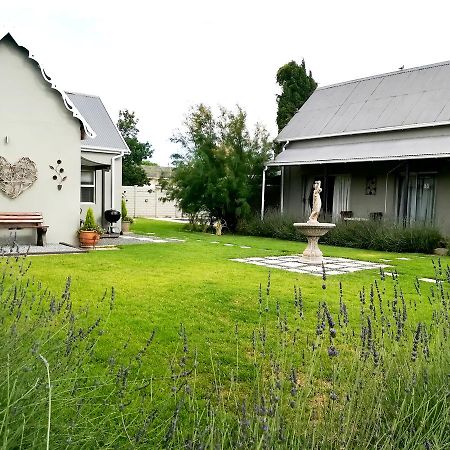 Tranquil House B&B @ 1 College Ave 昆斯敦 外观 照片