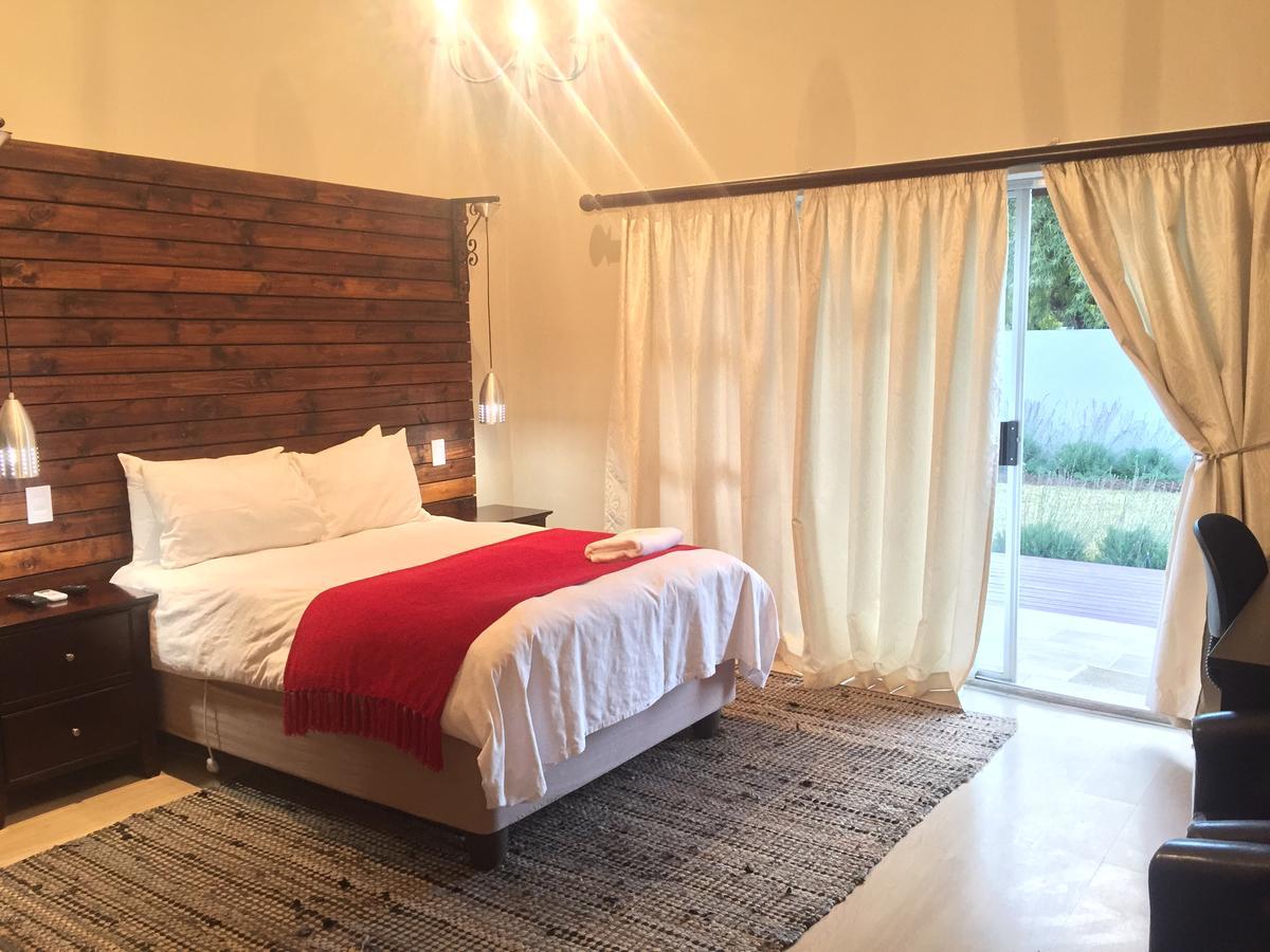 Tranquil House B&B @ 1 College Ave 昆斯敦 外观 照片