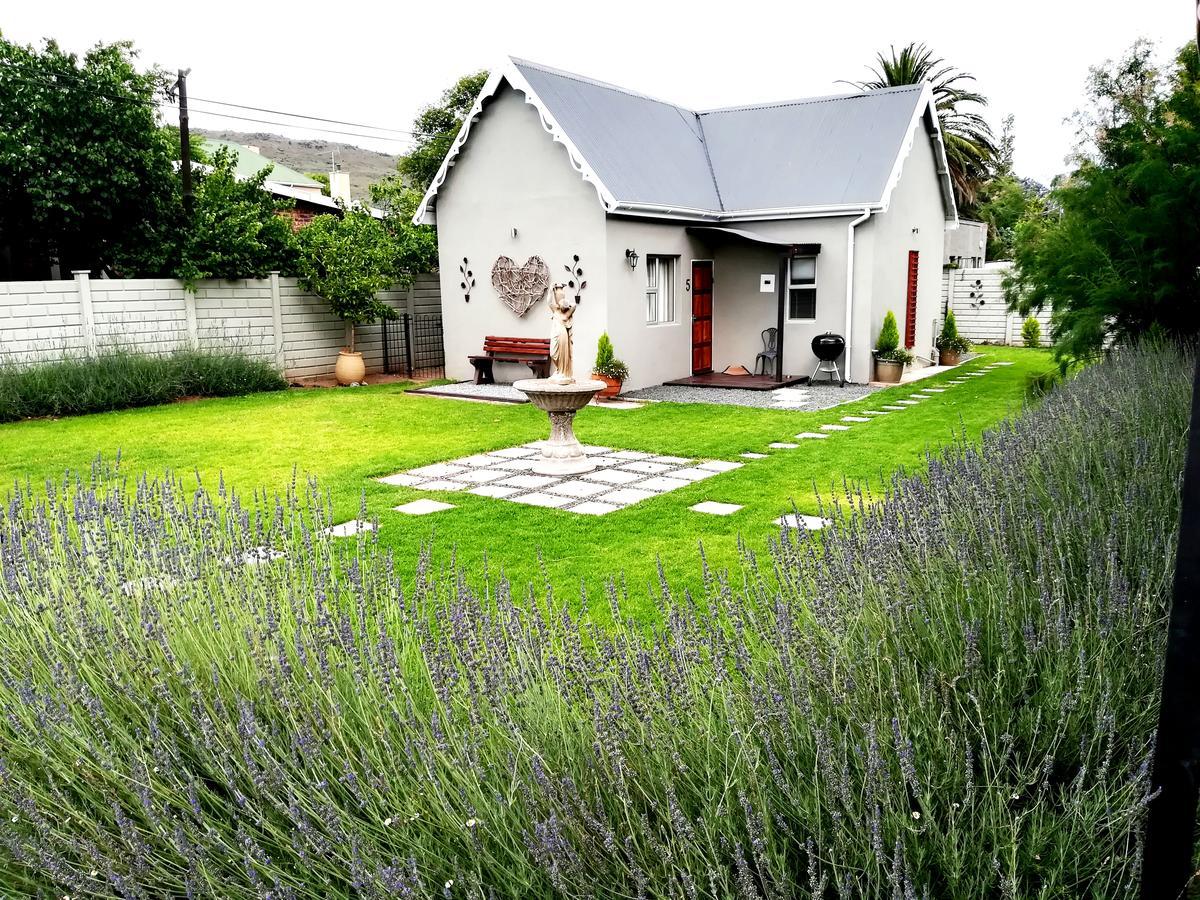 Tranquil House B&B @ 1 College Ave 昆斯敦 外观 照片