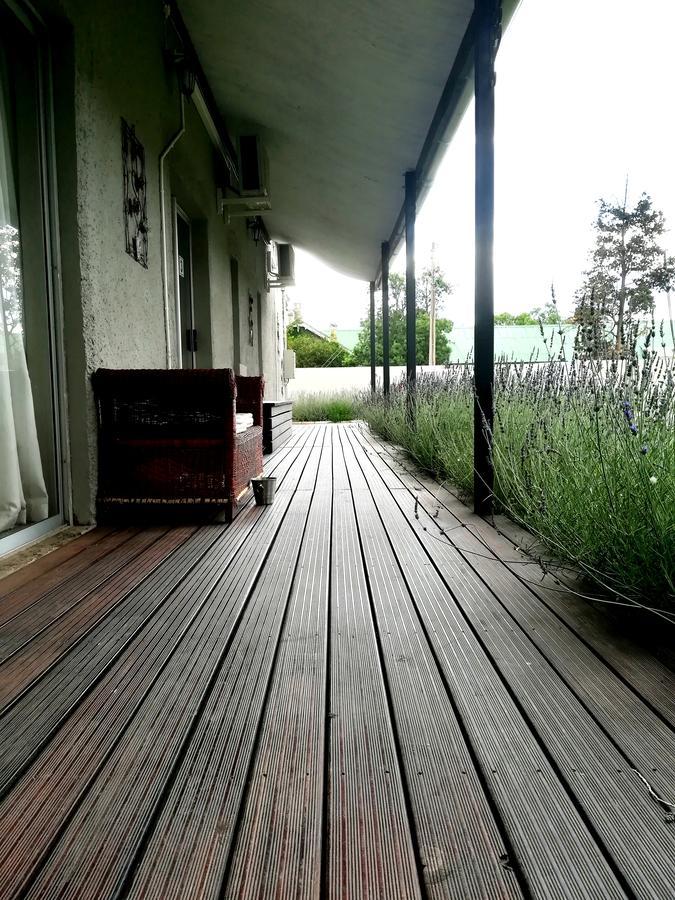 Tranquil House B&B @ 1 College Ave 昆斯敦 外观 照片